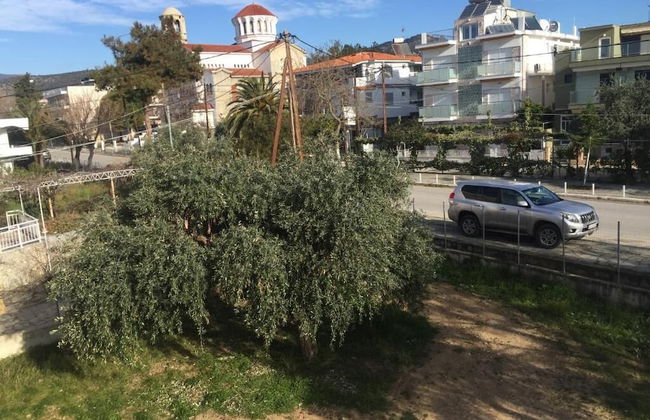 Sunny Beach Apartments - Foto 60