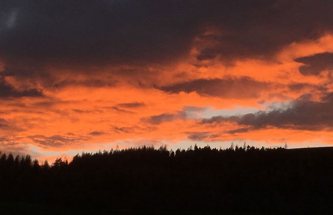 Hillside Havens - Foto 63