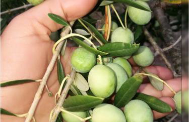 Roberto Apartment - Foto 21