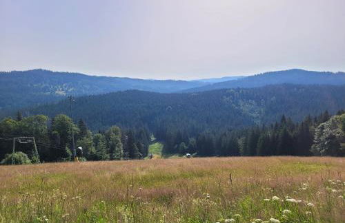 Mitterdorf - apartmán Almberg - Foto 22