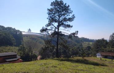 Paineiras Pousada Rural - Foto 36