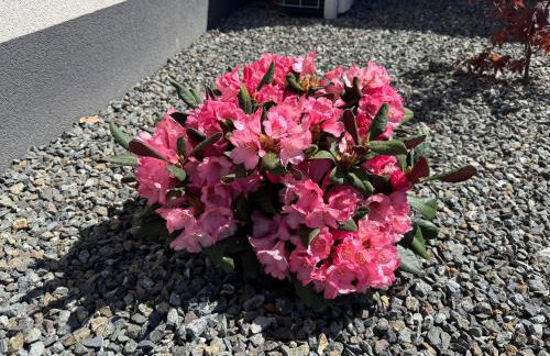 Villa Granea with indoor heated pool and sauna - Foto 5