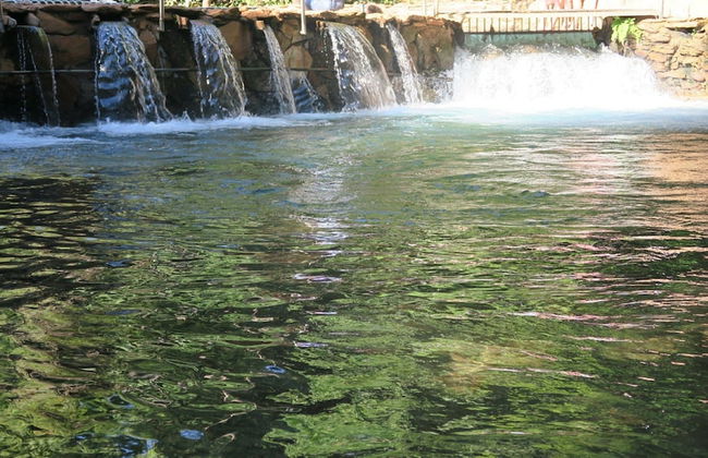 Thermas Goiás - Paradise - Foto 33