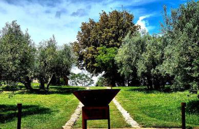 Tenuta Aronne - Foto 55