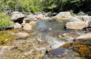 Pet-friendly Rustic Mtn Home PLUS Apt - Foto 20