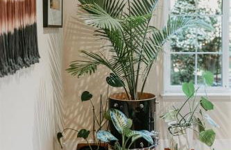 Spacious Cozy and Renovated Mountain Retreat - Foto 10