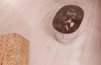 Holiday home in Ugljan - Insel Ugljan 50384 - Foto 8