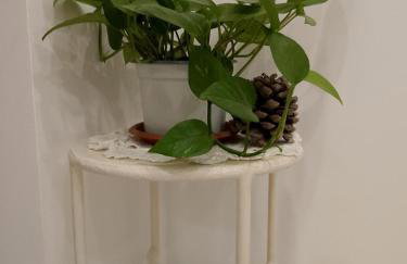 Le Casette di Nonna Rosa in Fontanarossa Catania Airport - Foto 42
