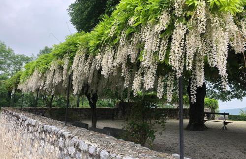 Ground Floor - Hauseman Building close to Thermes - Foto 36