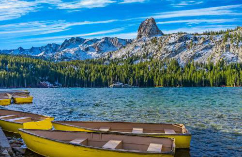 Mammoth Green 101 - Photo 44