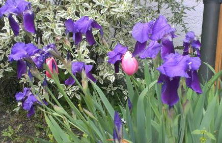 Appartementhaus Elisabeth Winklhofer - Foto 58