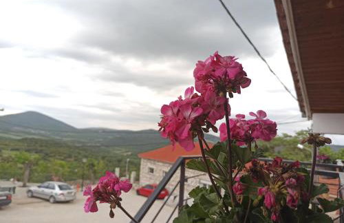 Μυρτώ - Photo 18