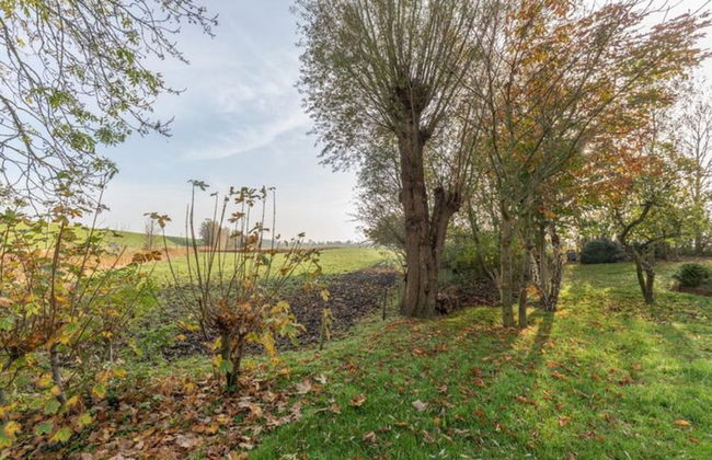 Reetgedecktes Ferienhaus mit Kachelofen - Foto 23