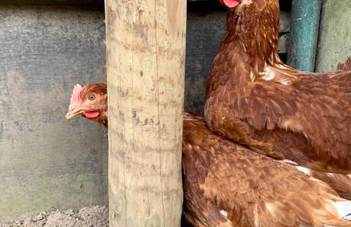 Casa do Paço Aveiro - HolidayHome - Foto 39