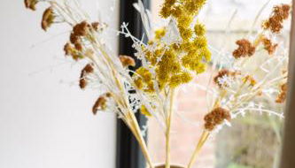 Bramble Cottage - Foto 4