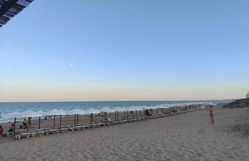 House with solarium - Foto 38