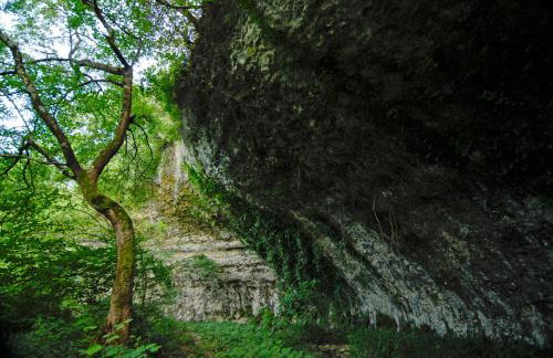 DAMJANIĆ HOLIDAY HOUSE - Foto 35