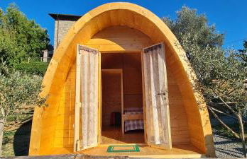 Agriturismo Fattoria didattica Il Macereto - Foto 17