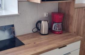 Willa Sowia nowy apartament z prywatnym tarasem i widokiem na góry - Foto 8