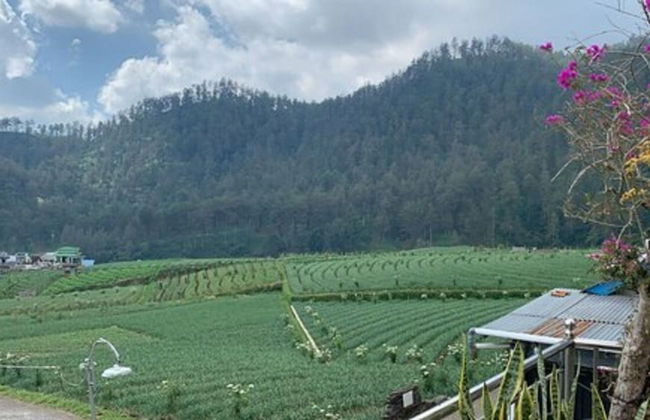 Villa Matahari Tawangmangu powered by Cocotel - Foto 16