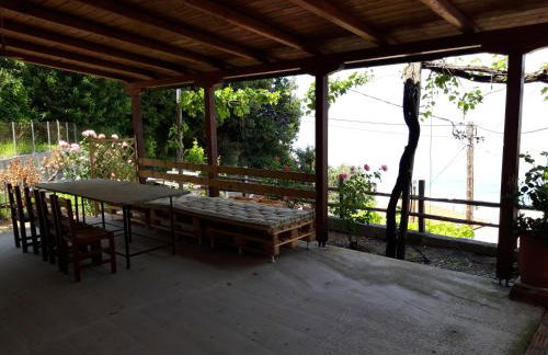 Ammos papanero - Foto 37