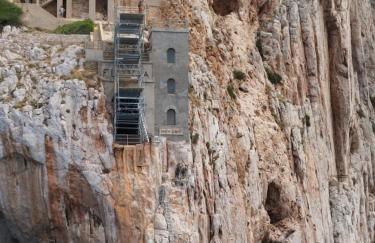 Il GLICINE - Foto 13