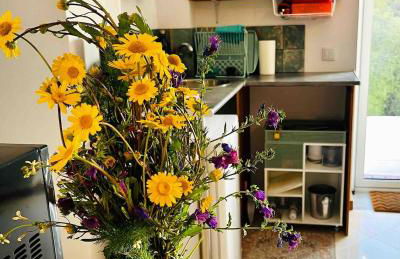 NEW! Remote cosy apartment - Foto 3