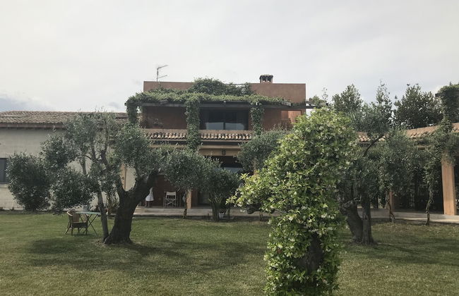 Masseria Scannaturco - Photo 19