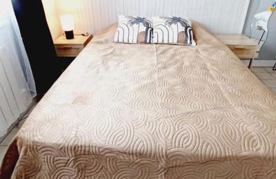 LE PETIT SARMENTIN - Foto 17