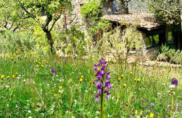 La Stellina Casa Vacanze - Relax immersi nella natura - Foto 27