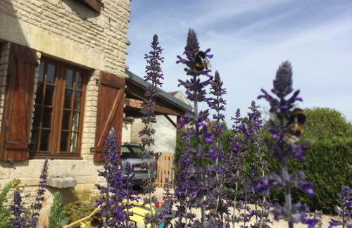 Gîte champenois les voisins - Foto 1