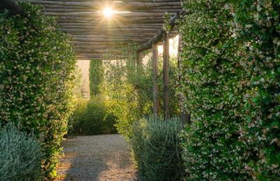 Agriturismo Resort Il Foionco - Foto 57