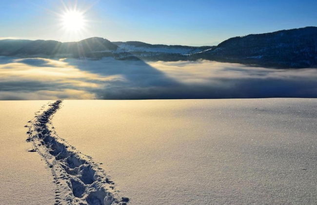 Apartment Near the Ski Lifts - Foto 36