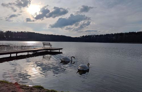 Sosnowy Azyl - Foto 41