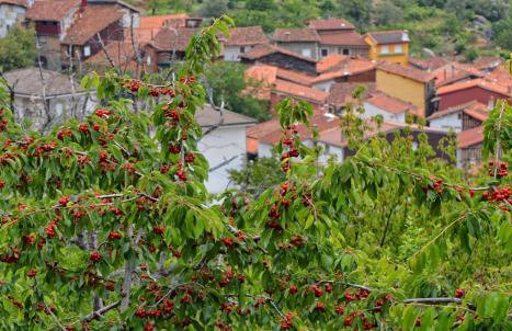 Casa Belen I y II - Foto 27