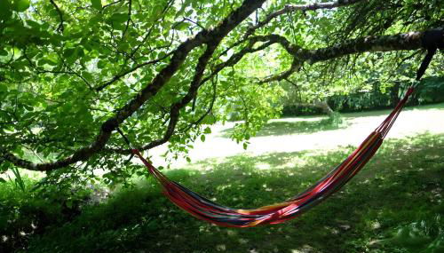 Calme, vue, espace et spa privatif - Foto 5