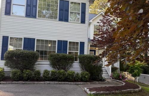 Wade a Minute Chester - Foto 36