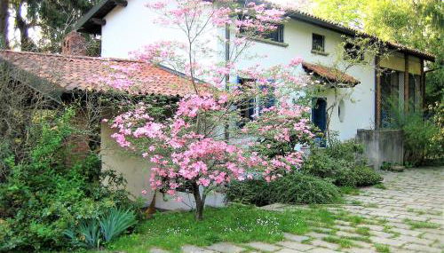 Milano Country Club - Villa with private pool and garden - Foto 2