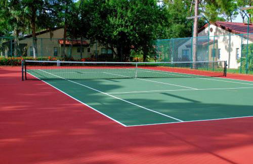 LUX VILLAs on beautiful Palmer Ranch - Foto 35