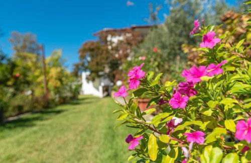 Blooming Memories - Foto 11