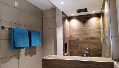 Ferienhof-Dachsberg Wohnung Paradies - Foto 4, Shower