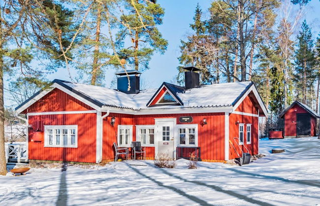 Punatulkku - Foto 42