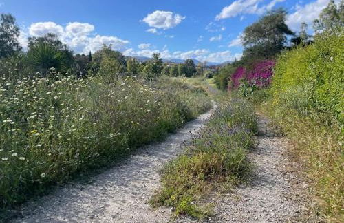 Gem of Guadalmina Alta - Photo 43