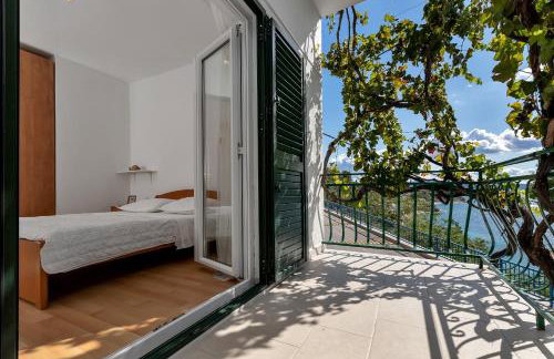 Apartmani Antonela - Photo 21