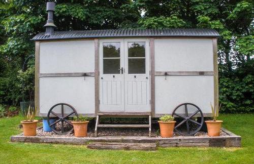 Garden Studio - Foto 13