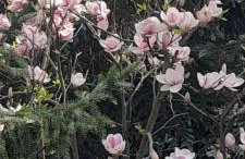 Ostoja Kamionki - Foto 22