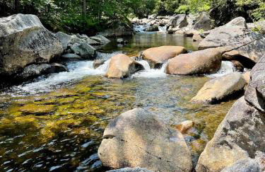 Pet-friendly Rustic Mtn Home PLUS Apt - Foto 21