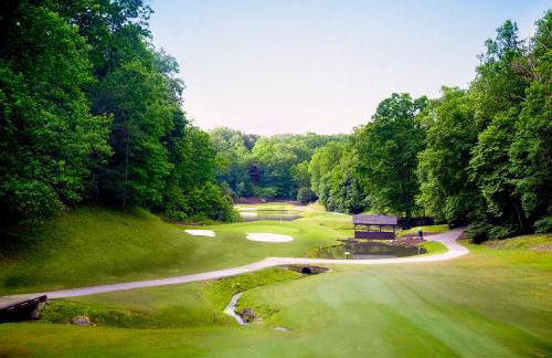 Rumbling Bald Resort Unit 2004 - Foto 12