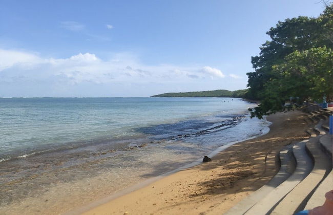 Beachfront Studios - Foto 76