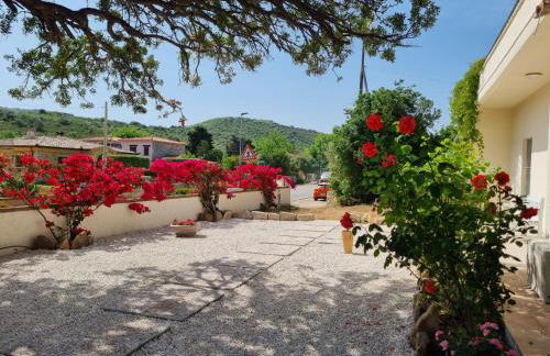 Stazzo San Teodoro Piscina Condivisa - Foto 31